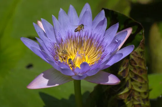 耀世娱乐 娱乐背景